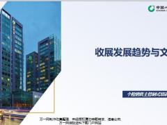 国寿区域收展概念公司发展历程展望含备注41页.pptx