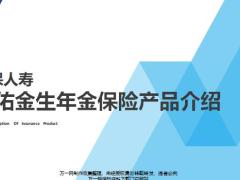 海保人寿福佑金生年金保险产品背景解析测评24页.pptx