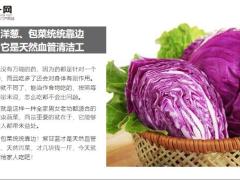每日健康紫甘蓝它是天然血管清洁工天然胃菜12页.ppt