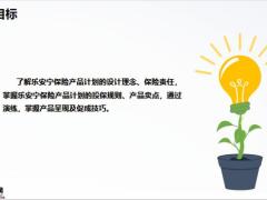 中意乐安宁两全保险责任投保规则投保案例产品卖点29页.pptx