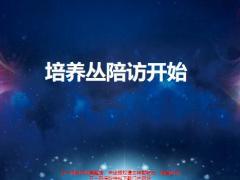 陪访的价值陪同拜访20页.pptx