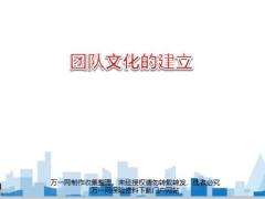文化团队灵魂建设三要素核心43页.pptx