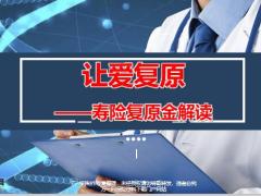 让爱复原寿险复原金解读重疾险29页.pptx