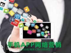手机APP网络营销PPT模板22页.pptx