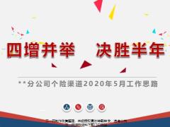 分公司个险渠道2020年5月工作思路目标节奏业务推动方案费用活动支持31页.pptx