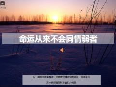 每日鸡汤命运从来不会同情弱者.zip