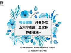 每日健康开春多吃五大排毒菜全家身体都健康15页.ppt