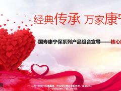 国寿康宁保系列产品组合背景详解重点要素26页.pptx
