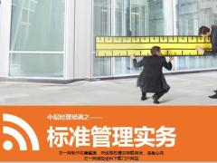 中层领导培训标准管理实务39页.ppt
