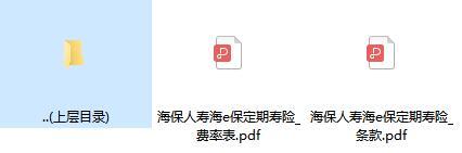 海保人寿海e保定期寿险条款费率.zip