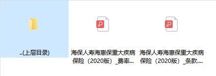 海保人寿海惠保重大疾病保险2020版条款费率.zip