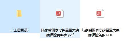 陆家嘴国泰守护星重大疾病保险条款费率.zip