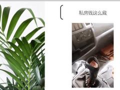 每日快乐早会20年4月28日使用12页.ppt
