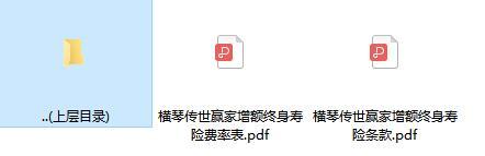 横琴传世赢家增额终身寿险条款费率.zip