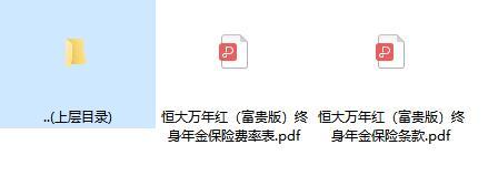 恒大万年红富贵版终身年金保险条款费率.zip