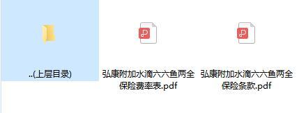 弘康附加水滴六六鱼两全保险条款费率.zip