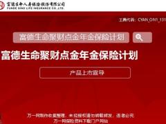 富德生命聚财点金年金保险背景产品介绍特色20页.pptx