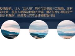 2020年收入和保险将成为每个家庭的标配13页.pptx