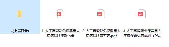 太平真爱豁免保费重大疾病保险条款费率运营规则.zip