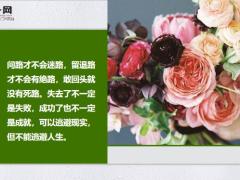 每日鸡汤性格决定命运选择改变人生.zip