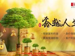 百年鑫越人生终身寿险背景设计原理产品介绍案例演示31页.pptx