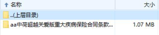 中荷超越关爱版重大疾病保险合同条款费率.zip