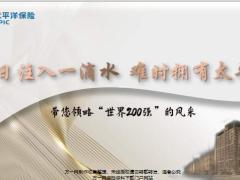 太平洋人寿2020公司简介22页.pptx