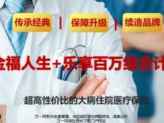 太保金福人生乐享百万组合形态亮点投保案例16页.pptx