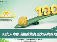 阳光人寿康瑞倍致终身重大疾病保险理念产品特色责任规则案例30页.pptx