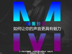 销售技巧如何让你的声音具有魅力14页.pptx