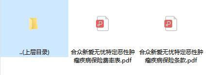 合众新爱无忧特定恶性肿瘤疾病保险条款费率.zip