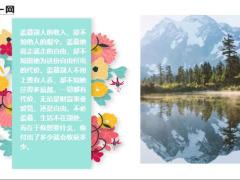 每日鸡汤勤能补拙天道酬勤.zip