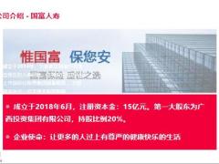 国富人寿嘉和保重大疾病保险公司介绍背景产品形态竞品分析亮点总结16页.pptx