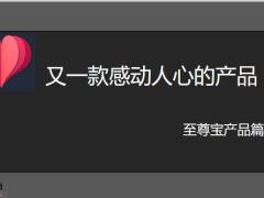 恒大人寿至尊宝产品篇28页.pptx