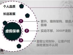 虚假保单的由来危害三点要求14页.pptx