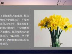 每日鸡汤人不能小看自己各有所长.zip