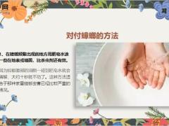 每日健康蟑螂蚊子已经不住我家了多亏了这个方法14页.ppt