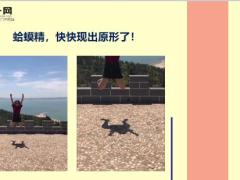每日快乐早会20年5月12日使用12页.ppt