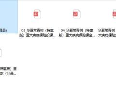 华夏常青树特惠版重大疾病保险条款费率投核保保全规则.zip
