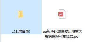 新华职域瑞安定期重大疾病保险利益条款.zip