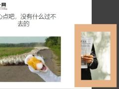 每日快乐早会20年5月13日使用12页.ppt