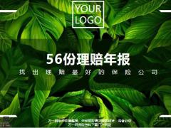 弘康人寿56份理赔年报理赔优势26页.pptx