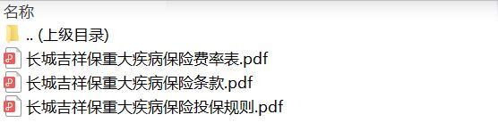 长城吉祥保重大疾病保险条款费率投保规则.zip
