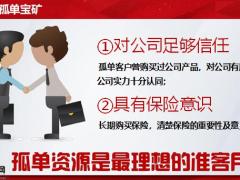 性格精准分析下的孤单经营六部曲11页.pptx