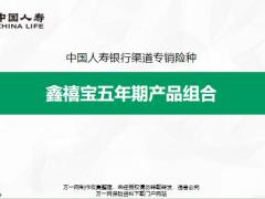 国寿鑫禧宝五年期产品组合特点举例说明销售方式16页.pptx