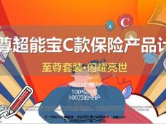 太平洋至尊超能宝C款保险产品计划介绍宣导24页.pptx