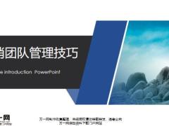 营销团队管理技巧基本特征34页.pptx