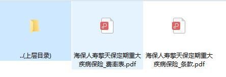 海保人寿擎天保定期重大疾病保险条款费率.zip