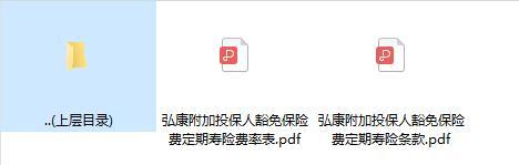 弘康附加投保人豁免保险费定期寿险条款.zip