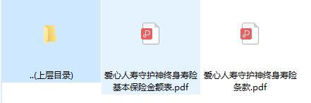 爱心人寿守护神终身寿险条款费率.zip